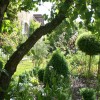 sous le poirier